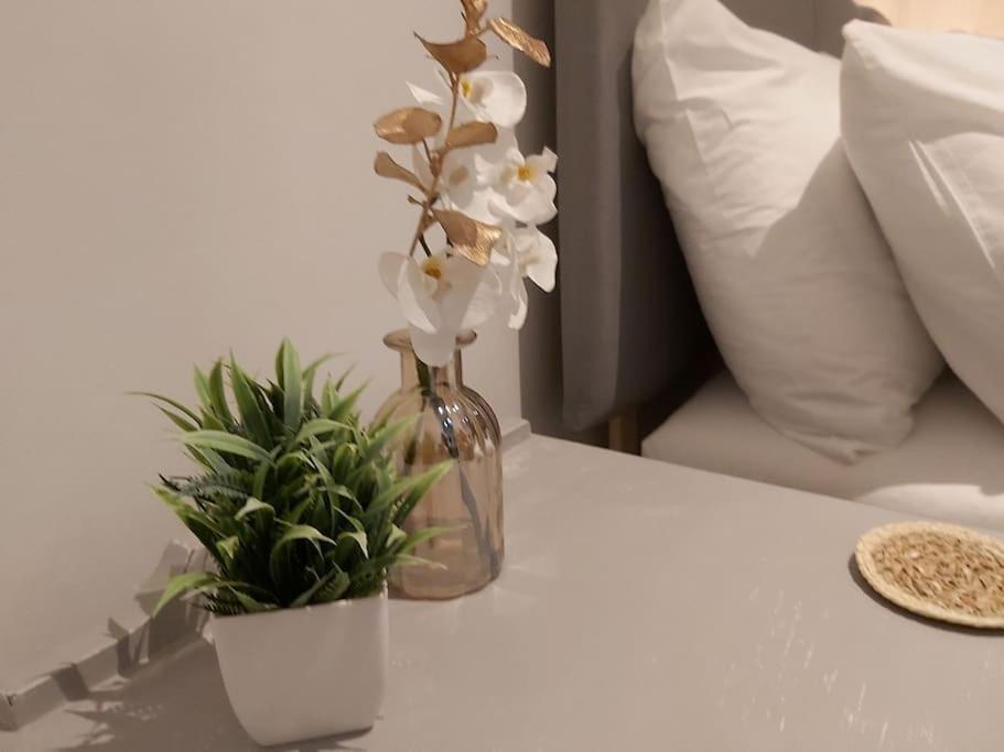 Tranquil Boho Bliss Apartment Портсмът Екстериор снимка
